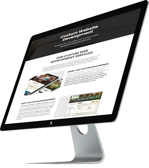 Custom Website Development